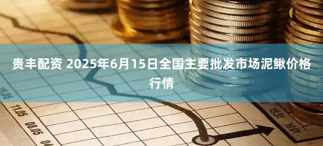 贵丰配资 2025年6月15日全国主要批发市场泥鳅价格行情