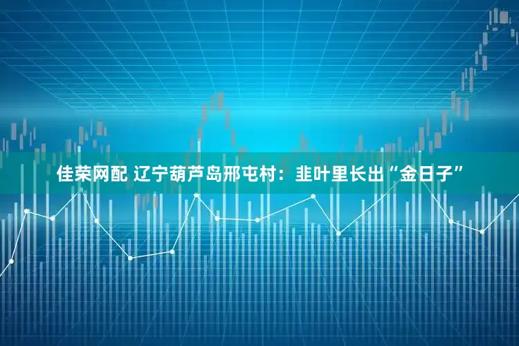 佳荣网配 辽宁葫芦岛邢屯村：韭叶里长出“金日子”